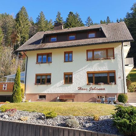 Haus Johanna Todtmoos Bagian luar foto